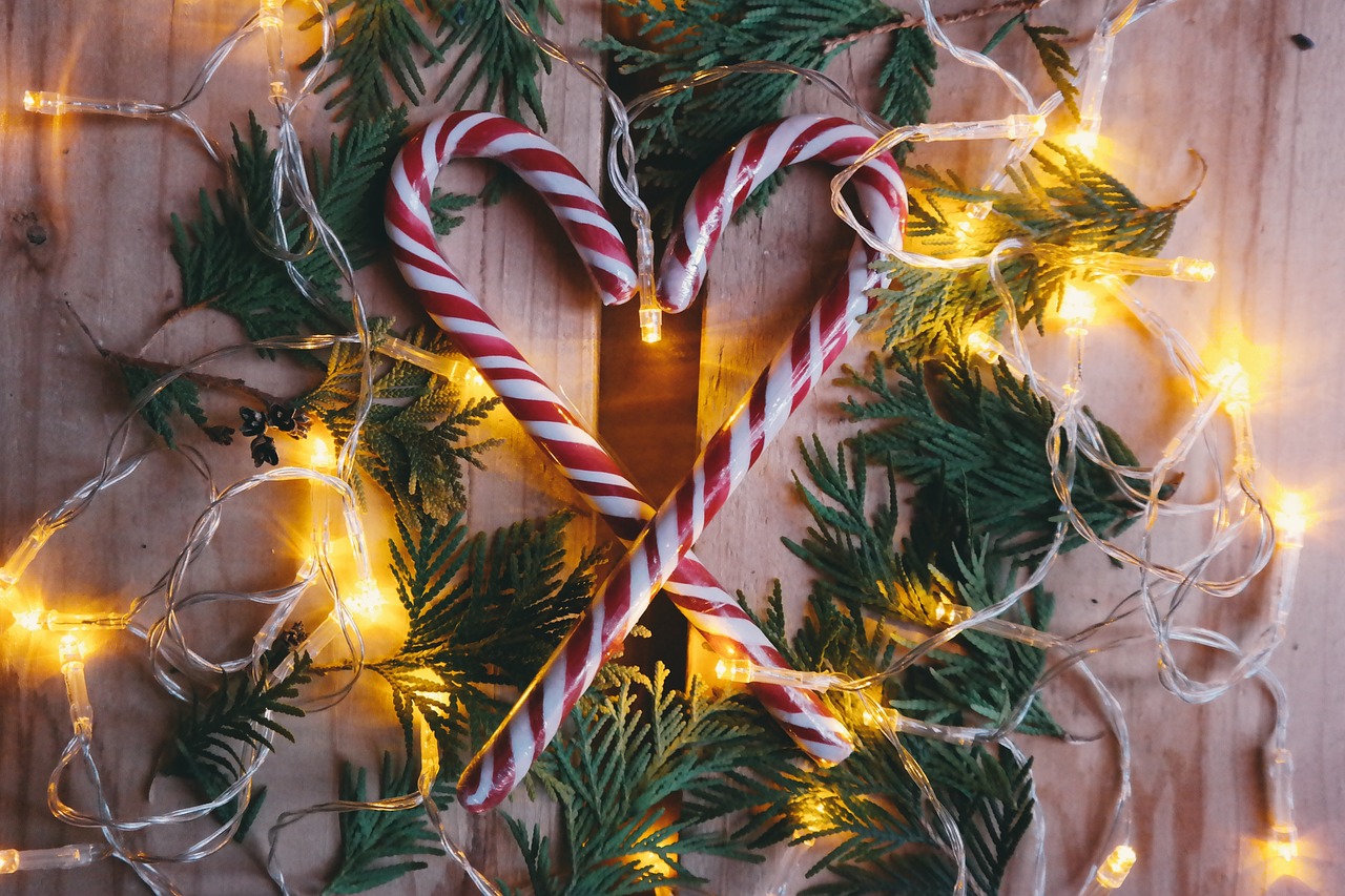 10 Tips for a Sustainable Holiday Season